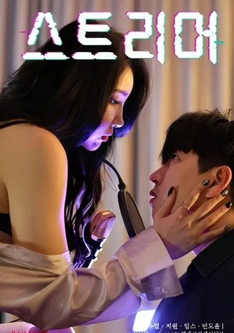 스트리머 포스터